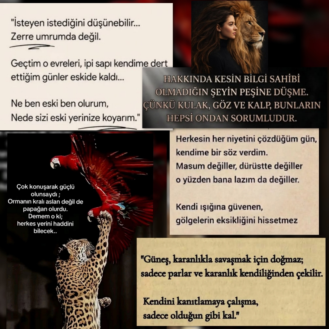 forumresim